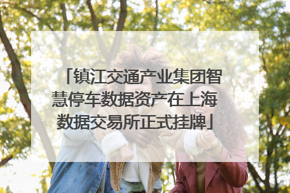 镇江交通产业集团智慧停车数据资产在上海数据交易所正式挂牌